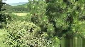 Cutie turns on a dude voyer