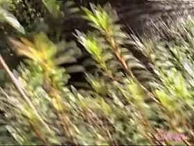 Hot Asian got public sharked while she was leaving her tutor