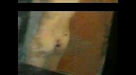 Vietnam secretly filming her big breasts neighbor