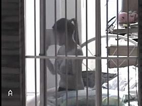 Maravilha de Vizinha 04