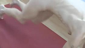 Nacktyoga mit Elke - www.nacktyoga-online.de