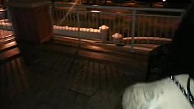 Non-Professional public sex