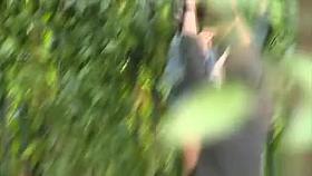 Outdoor voyeur video