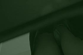 Elegant babes showing upskirt view of their panties