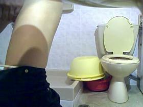 Girl showed hairy cunt on toilet cam when walked for paper