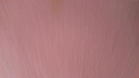 shaved pussy beautiful chick