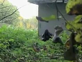 Privacy Invasion2 (peepboy23)