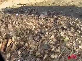 It's better to trip her first then skirt shark her sexy ass