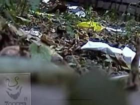 Girls Pissing voyeur video 71