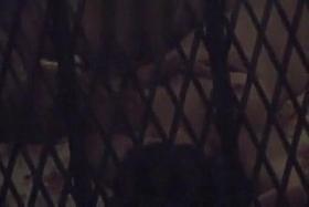 la petite mort - part un