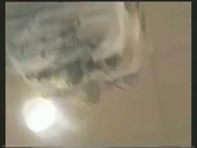 Young amateur upskirt sluts on video