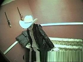 Hidden Voyeur Movie Exclusive Version