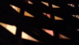 Sis in Law Not Shaved