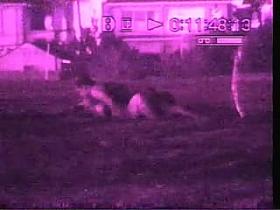 Hot night on the Beach