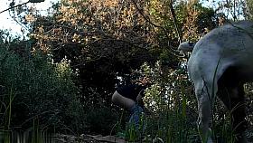 Girls Pissing voyeur video 309