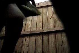 Voyeur cam stripping ebony