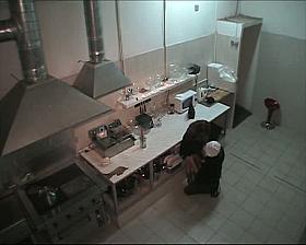 Hidden sex in the kitchen