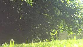 ma cochonne adore l exhib