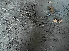 Flirty girl accidentally shows panties