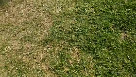 Buttcrack in Student's Day