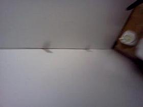 Hidden camera in toilet