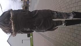 Nice Ass and cumshot