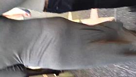 Sexy ass in grey dress