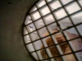Real Hidden Shower (4)