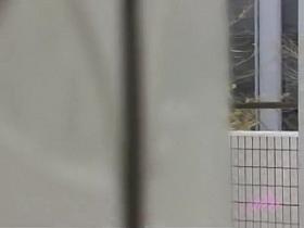 Bawdy petite sweetie gets her skirt ripped by some horny sharking lad