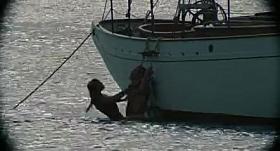 Amber Heard - The Rum Diary