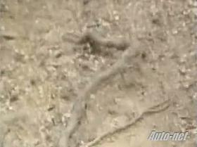 Japanese women getting their tits caught on a spy cam