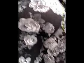 big booty see thru pants