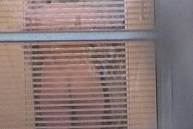 Gadget spied through blinds