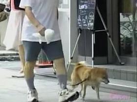 Totally kinky sharking affair with some curvaceous Asian cutie