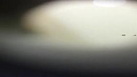 Voyeur camping shower 8 - Kroatien