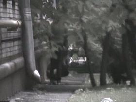 Teen student hides to piss beside a building voyeur video