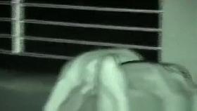 Couple fucking in public