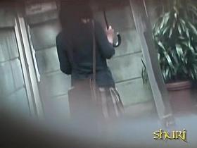 Soft fabulous doll flashes her bushy vagina when sharking fella lifts her skirt