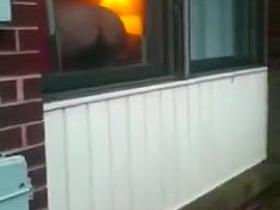 Walking To My Apartment