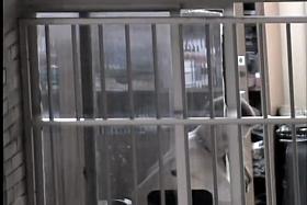 Luxurious gal stripping off and getting voyeured thru window