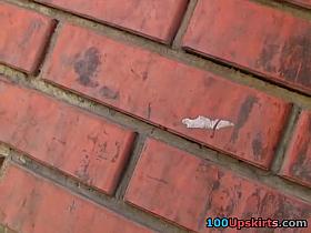 Ideal up-petticoat clip