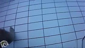 Fantastic asses underwater at a nudist pool