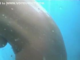 Wild Amateur, Changing Room, Spy Cam Movie Only Here