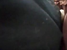 Aprovechando arrimon