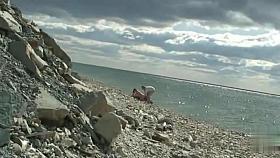 Sex on the Beach. Voyeur Video 47