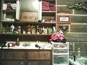 Laptop Cam - Bathroom