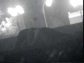 Holiday Voyeur on the Beach xvid