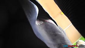 Upskirting girl in sexy pantyhose right in the bus