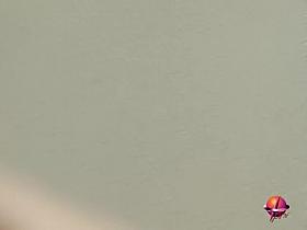 Public sharking video of stunning oriental cutie in the streets