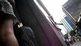 NOVINHA RABUDA DE SAINHA CURTA LEOPARD